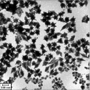 Plasmonic properties of novel metal nanoparticles