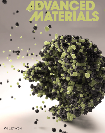 Nanoparticle Clusters: Assembly and Control Over Internal Order, Current Capabilities, and Future Potential Nanoparticle Clusters: Assembly and Control Over Internal Order, Current Capabilities, and Future Potential