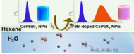 New article published in Angew. Chem. Int. Ed.: “Interfacial Manganese-Doping in CsPbBr3 Nanoplatelets by Employing a Molecular Shuttle